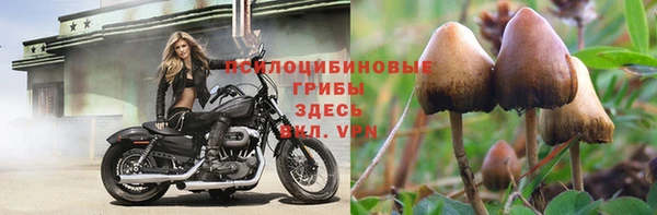 наркотики Бородино