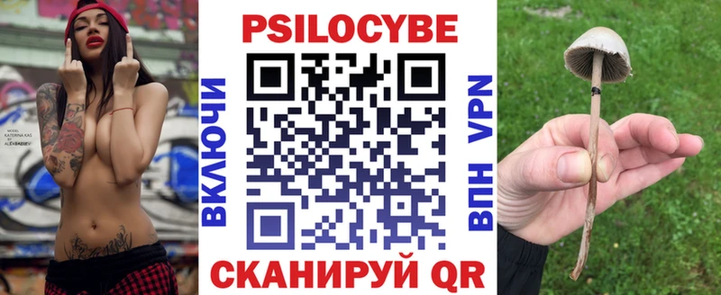 Галлюциногенные грибы Psilocybe  Дивногорск 